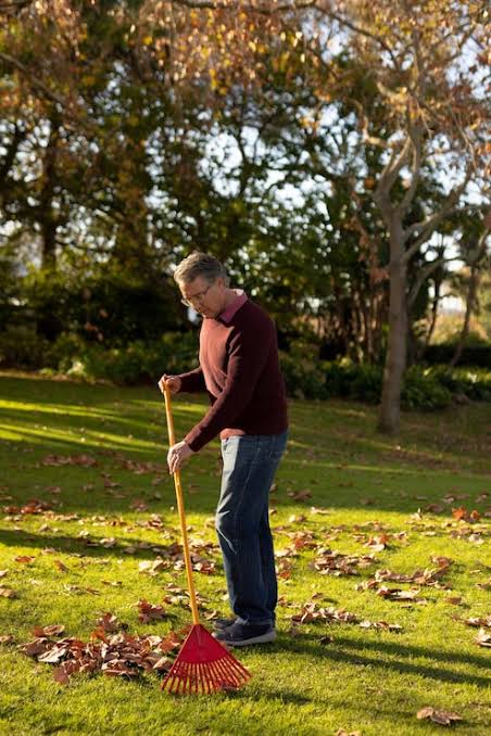 raking